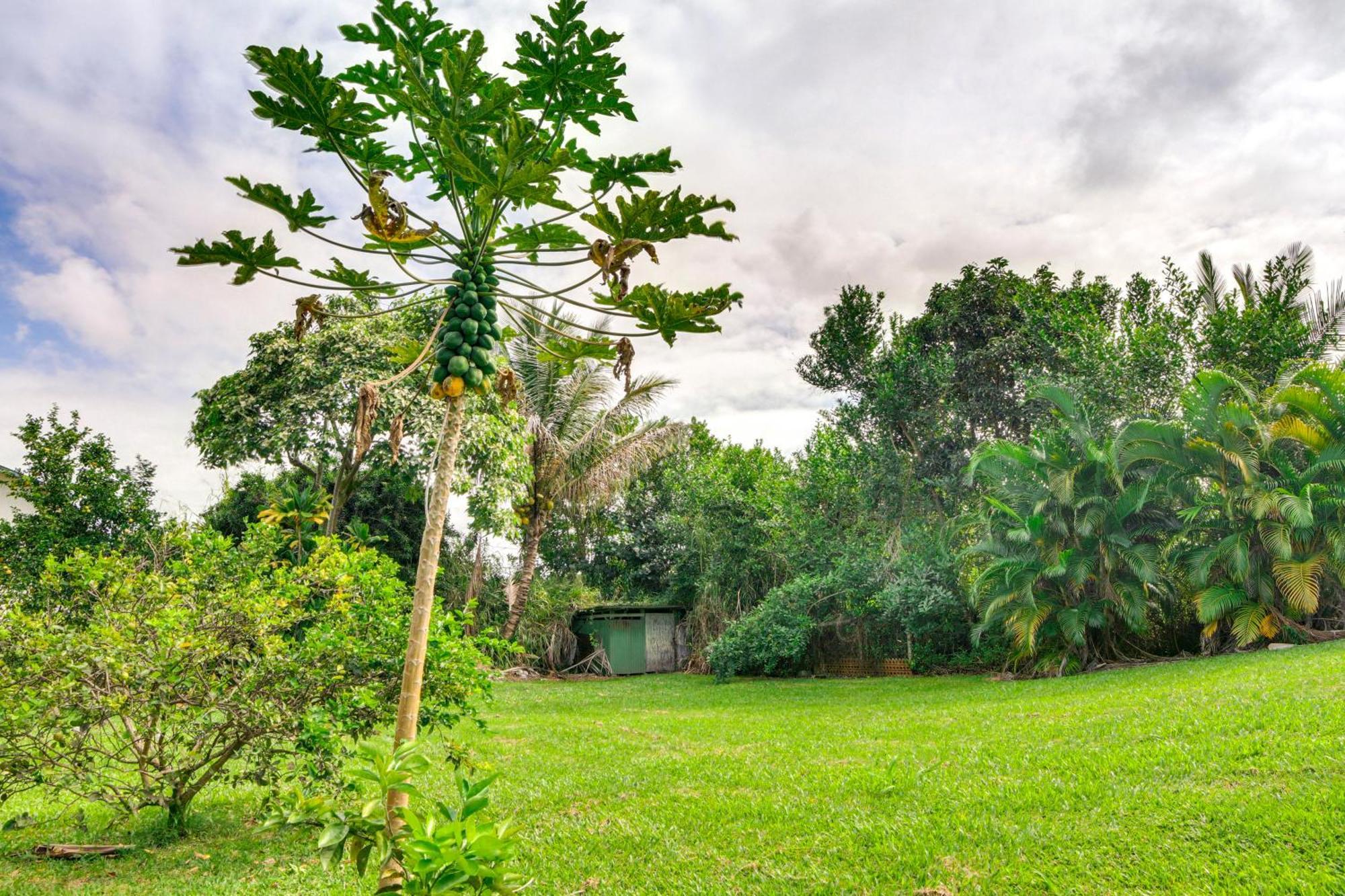 Charming Historic Hilo House Minutes To Beach! Εξωτερικό φωτογραφία